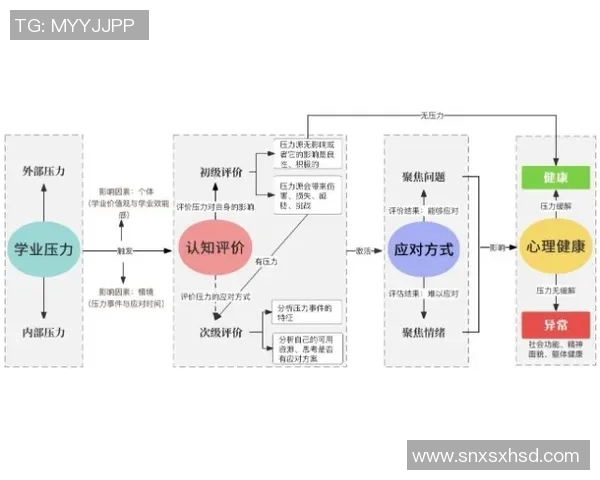 CBA球队青年球员成长路径与培养策略探讨及实践模式分析